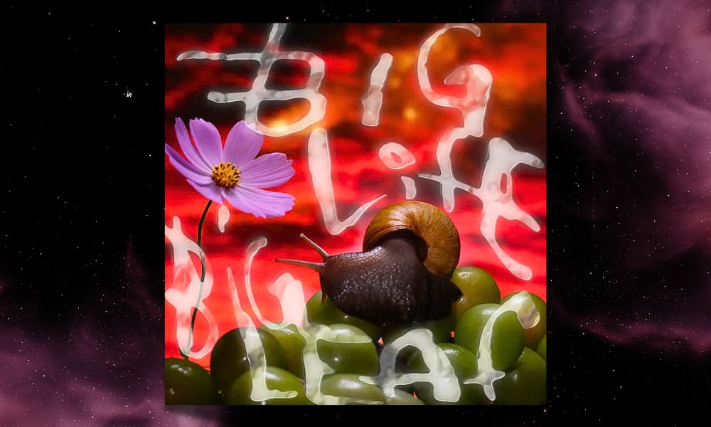 No Joy Big Life, Big Leaf Análisis del EP Completo Tracklist y Descarga